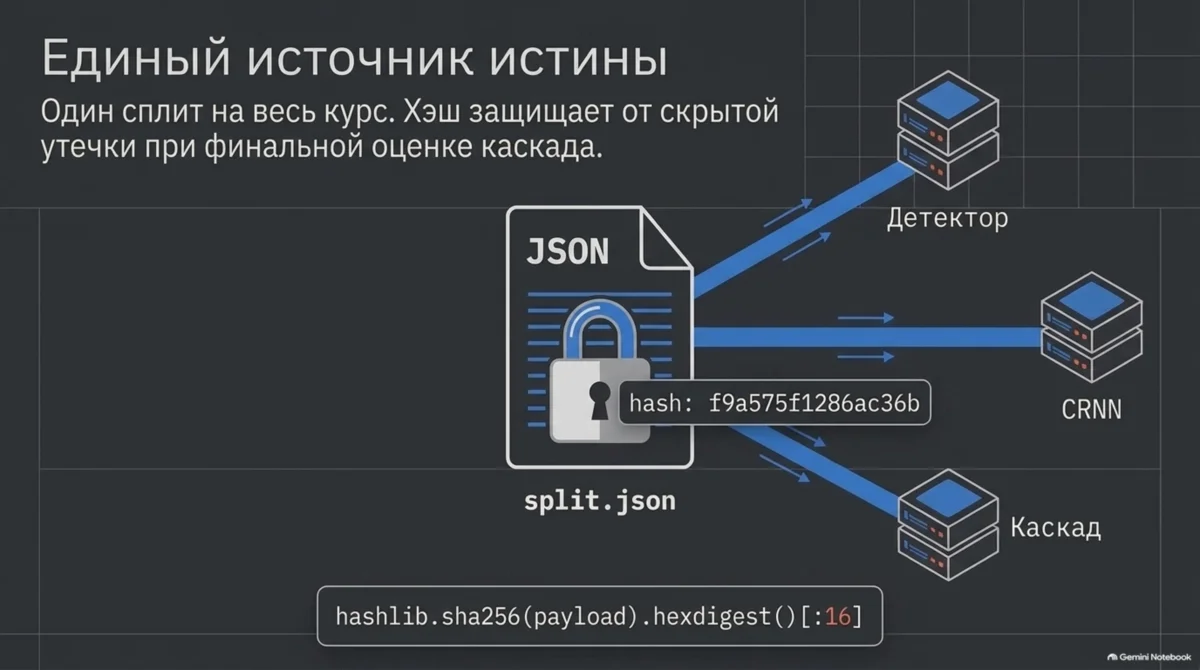 Один split.json → детектор, CRNN, каскад; hash защищает
